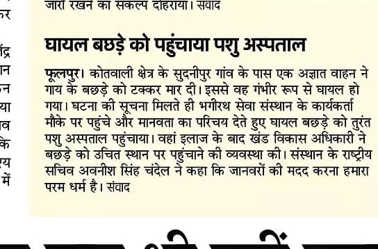 News Clipping 12